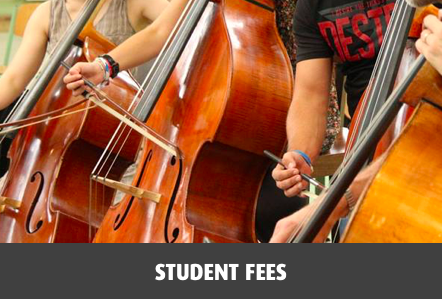 Student fees