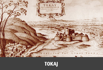 The town of Tokaj